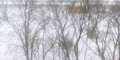 Какой погодой еще удивит февраль: прогнозы синоптиков