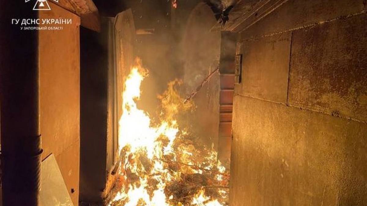 У Запоріжжі сталася пожежа у гаражному кооперативі (фото)