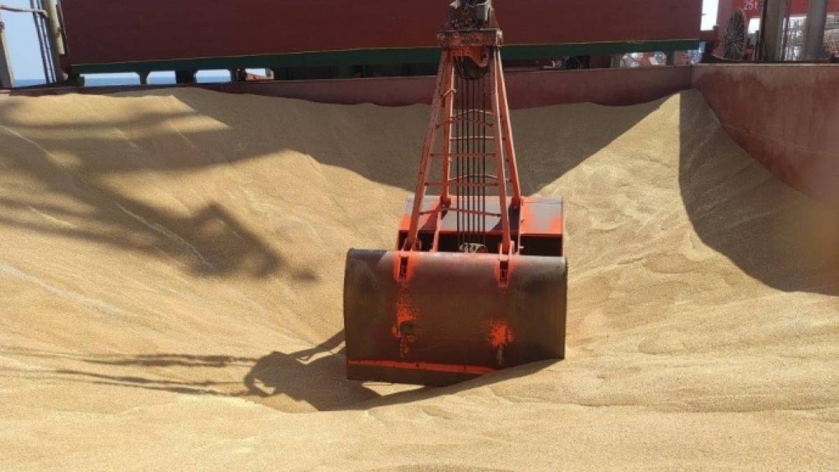 До Кенії у рамках програми «Зерно з України» доправлять 25 тисяч тонн збіжжя