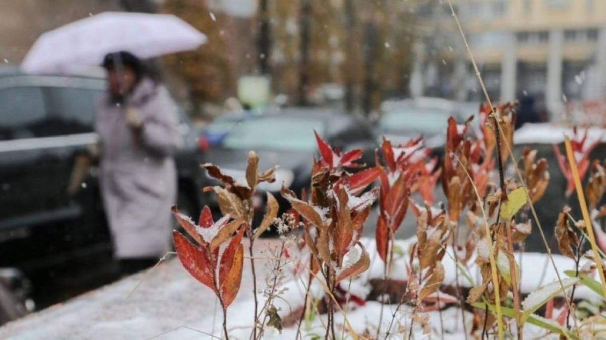Частину України накриють “теплі” снігопади: прогноз народного синоптика