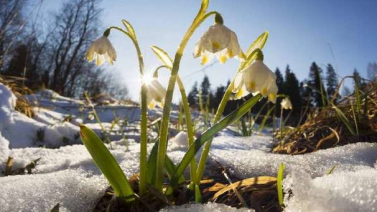 Синоптики прогнозують весняну погоду в останні вихідні зими