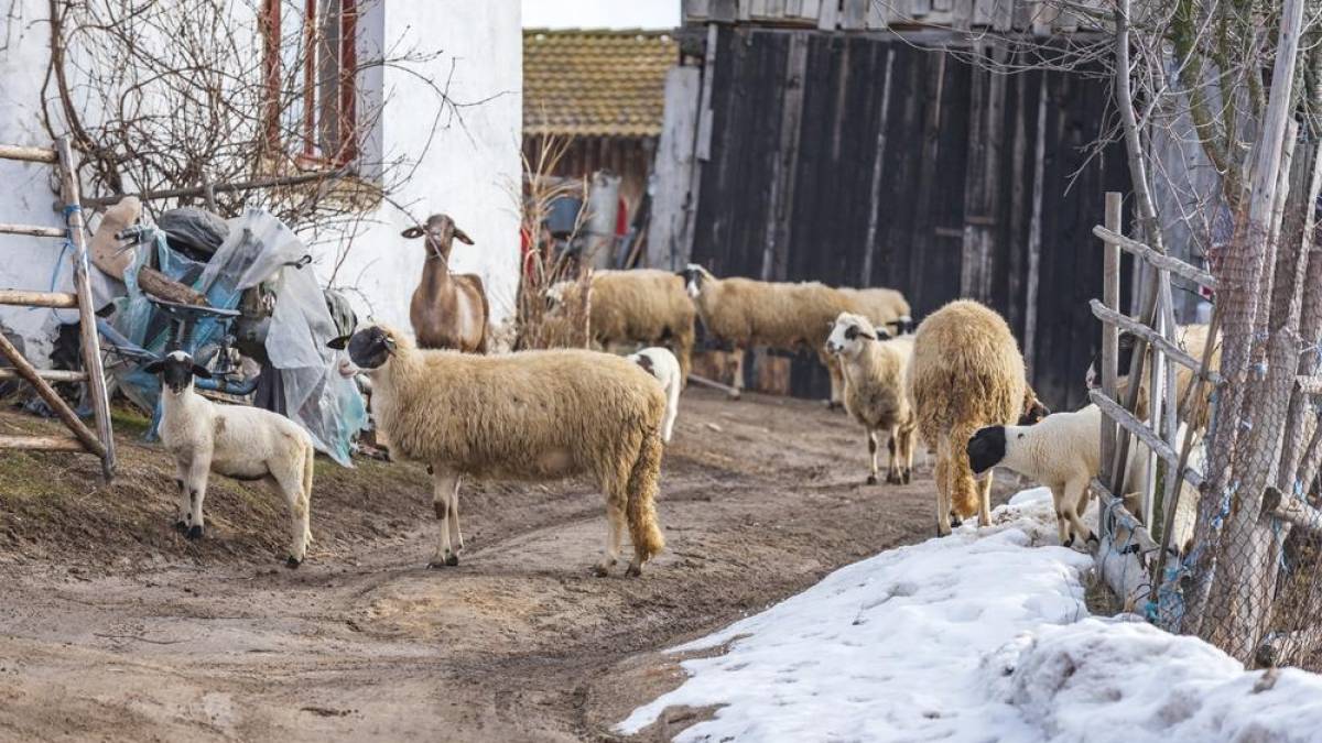Народне свято 28 лютого: традиції, звичаї, прикмети, заборони дня