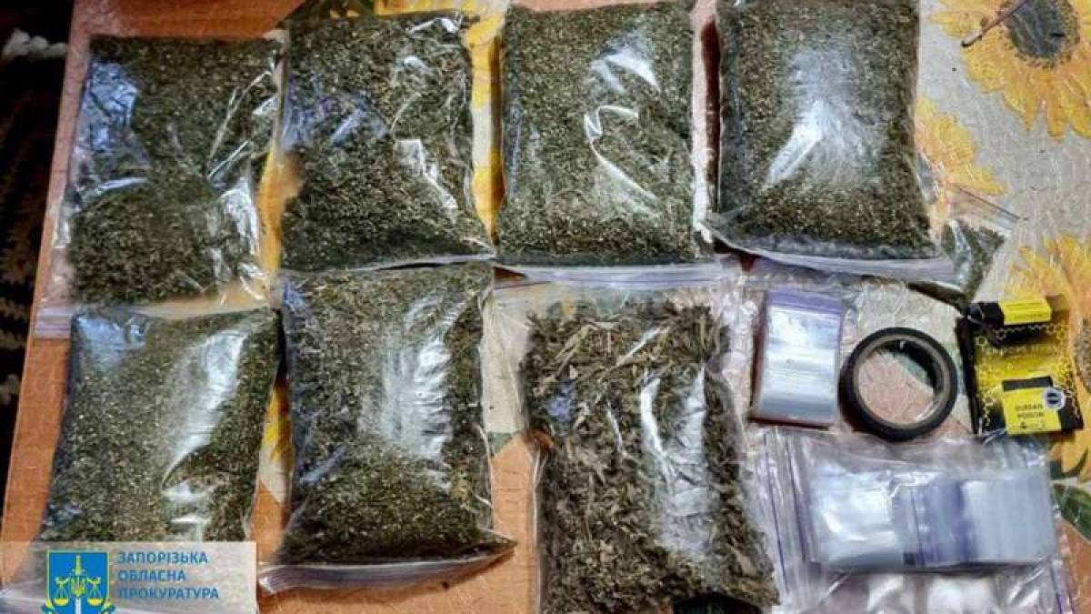 У Запоріжжі місцева мешканка зберігала майже 1 кг особливо небезпечного наркотичного засобу