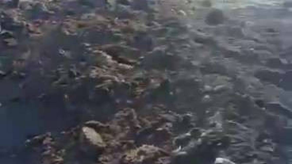 О взрывах в Запорожье 4 марта: в Запорожском районе армия рф обстреляла село Марьевка (фото, видео)