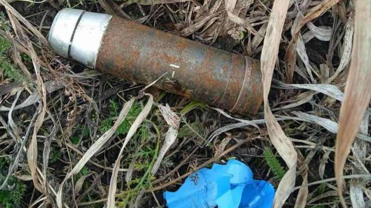 На Хортице обнаружили неприятную находку – пришлось вызвать специалистов по взрывоопасным предметам
