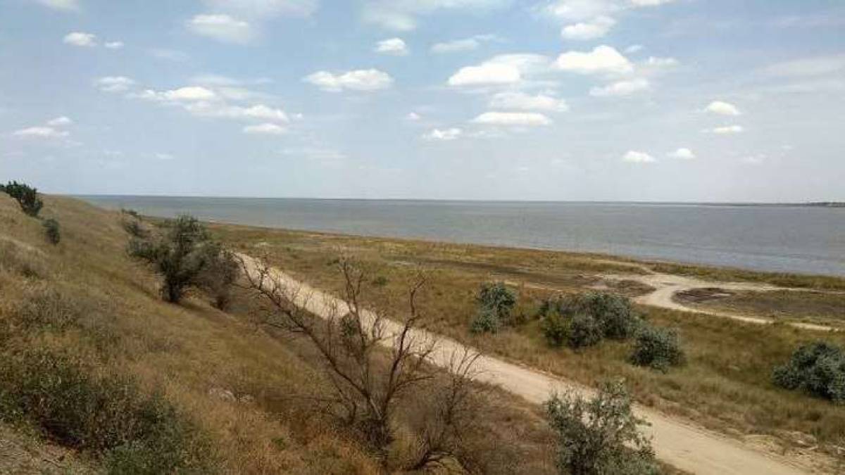 На Запоріжжя завезли нову партію чмобіків