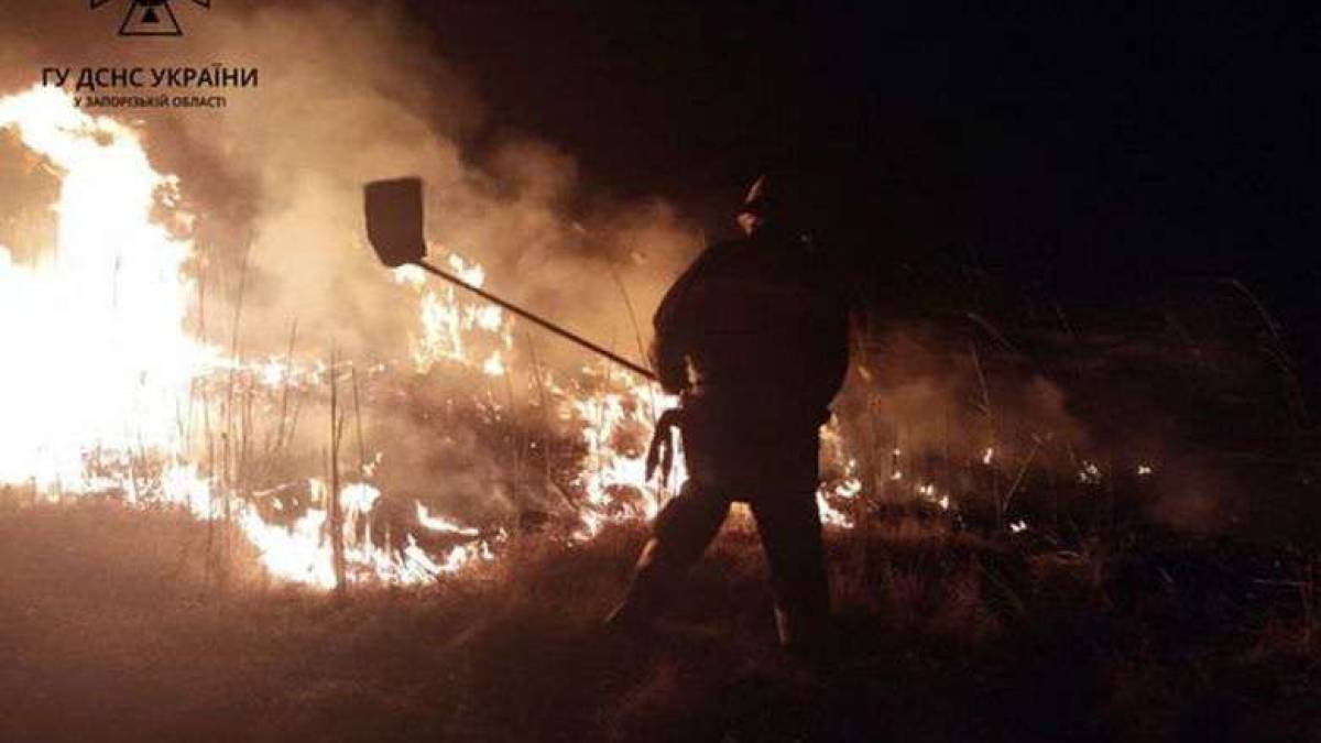 Рятувальники Запорізької області ліквідували 3 пожежі на відкритих територіях