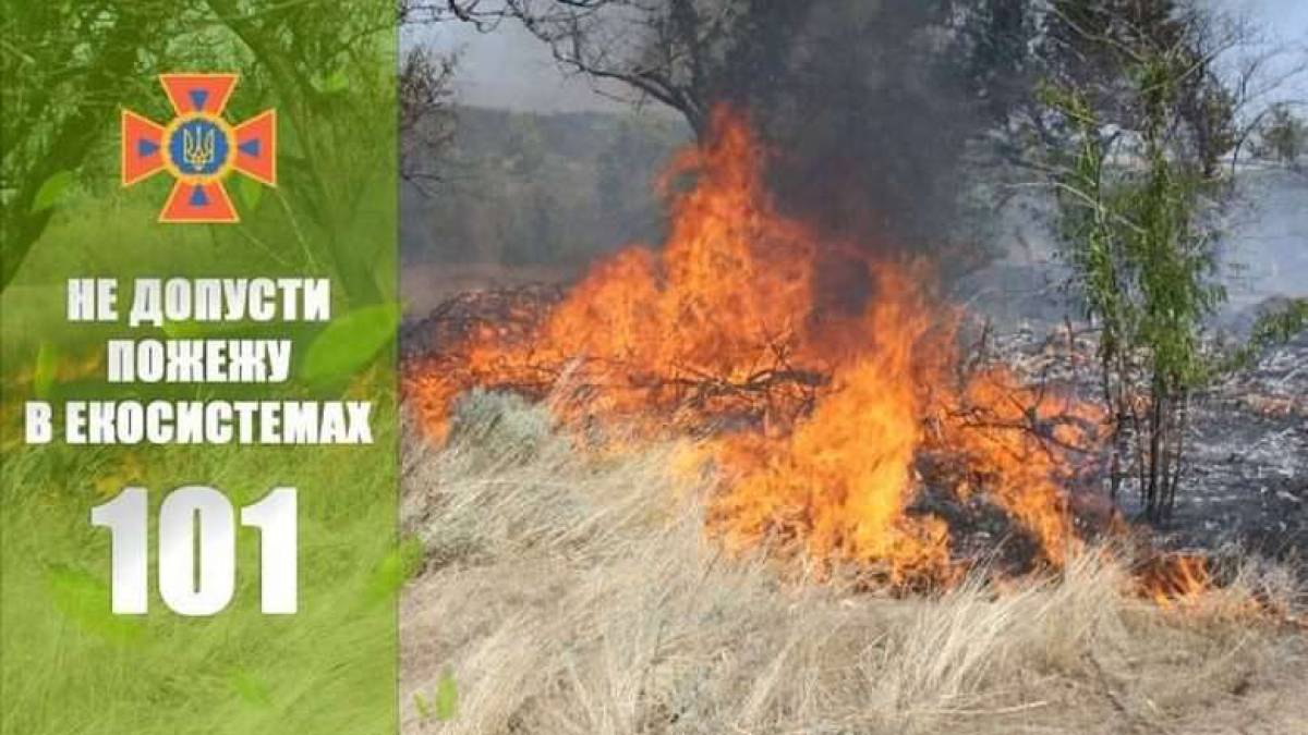 У Запорізькій області  рятувальники ліквідували пожежу в екосистемі