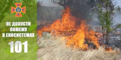 У Запорізькій області  рятувальники ліквідували пожежу в екосистемі