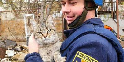 Запорізькі рятувальники нагадують: хвостаті заручники війни теж потребують допомоги і нашої уваги