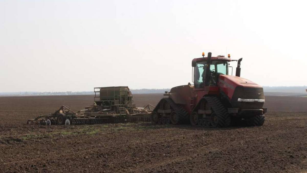 Посівну розпочали вже у 18-ти областях: скільки засіяли