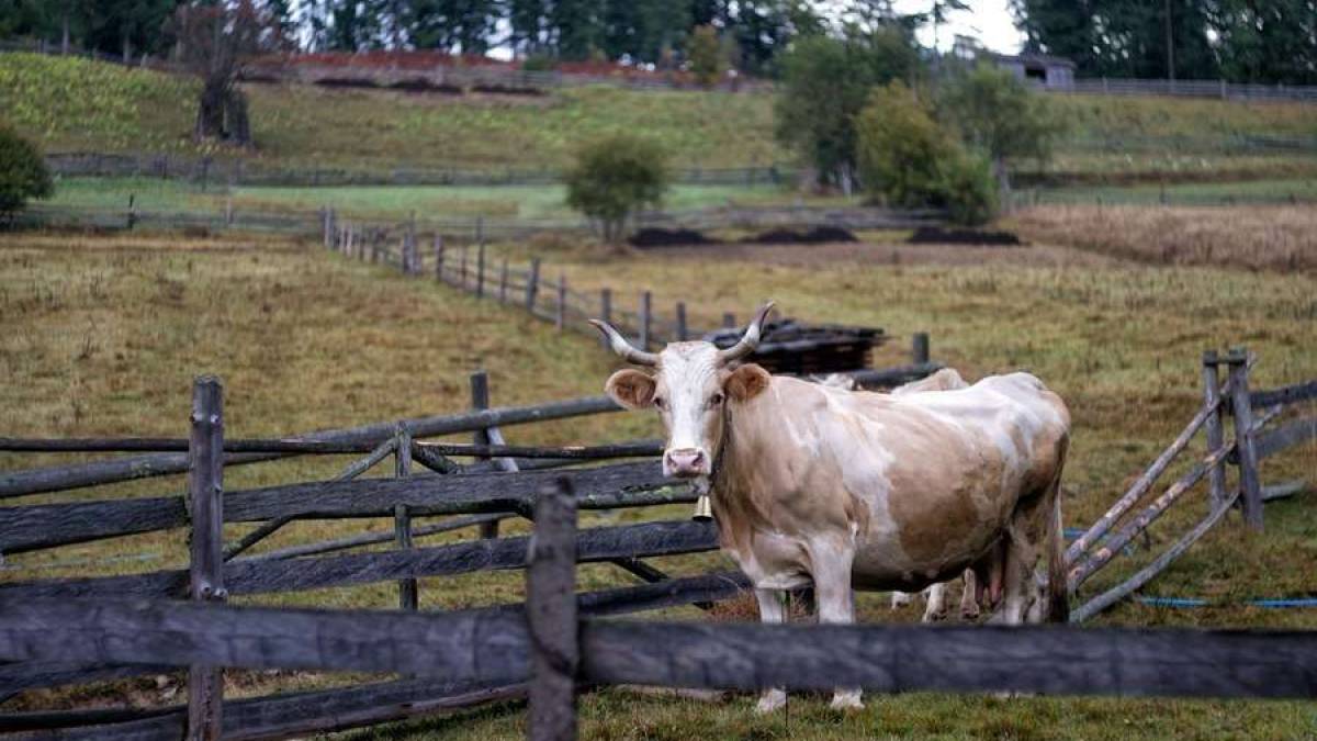 Народне свято 27 березня: народні звичаї, заборони і прикмети погоди