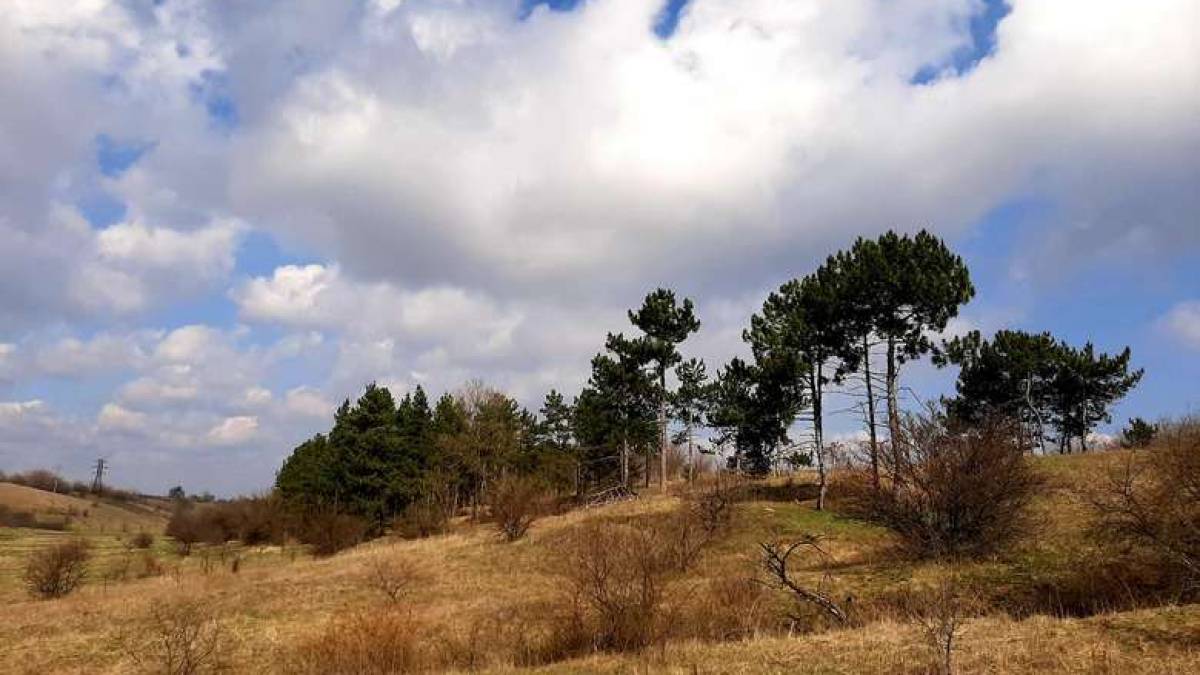 Весна у Запоріжжі на Нижній Хортиці (фото)