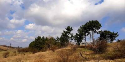 Весна у Запоріжжі на Нижній Хортиці (фото)