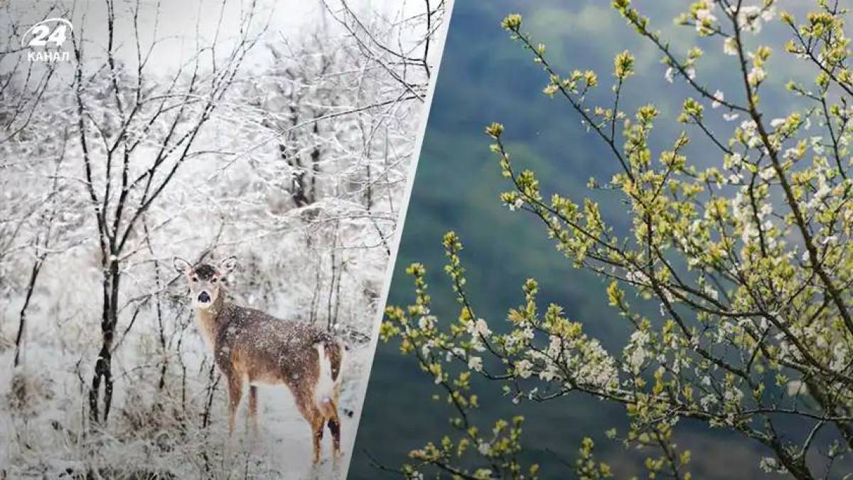 Якою буде погода у квітні: весняне тепло чи продовження холоду