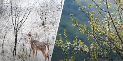 Якою буде погода у квітні: весняне тепло чи продовження холоду