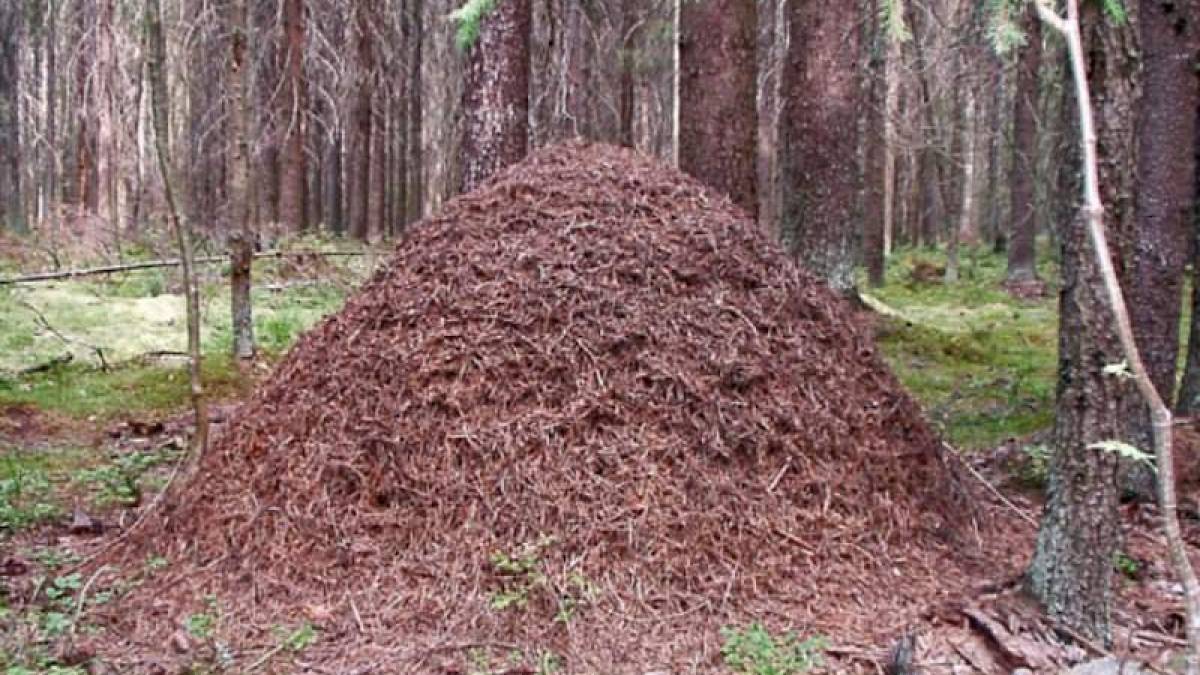 Народне свято 4 квітня: звичаї і прикмети, заборони та дозволи