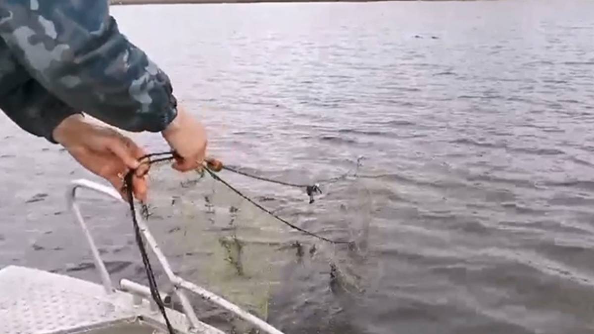 На Запоріжжі попереджені збитки рибному господарству майже на 172 тис. грн