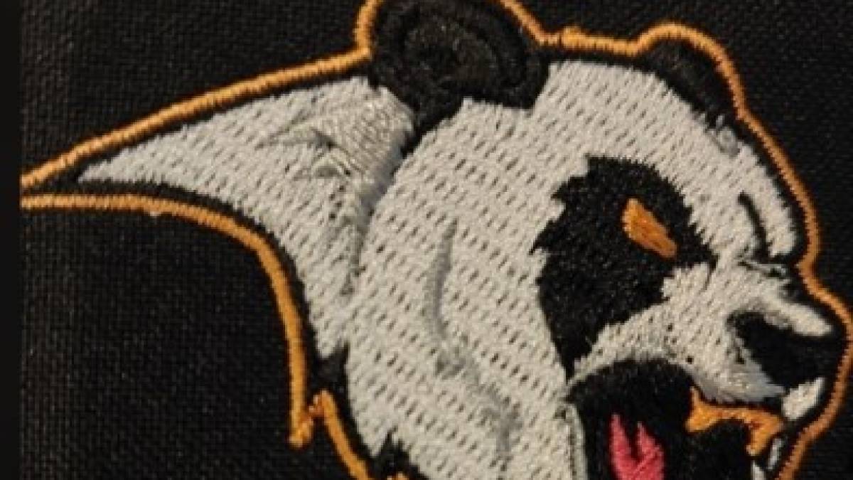 У Запорізькій області ЗСУ знищили російську базу з великим автопарком