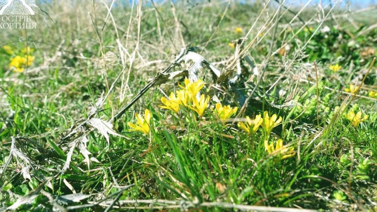 Чи можуть мешканці Запоріжжя гуляти по острову Хортиця
