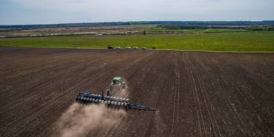 В Україні вже посіяли понад 620 тисяч гектарів зернових та зернобобових