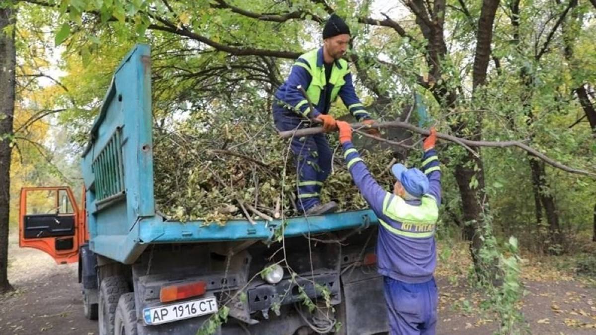 У Запоріжжі влада влаштовує велику загальноміську толоку: подробиці