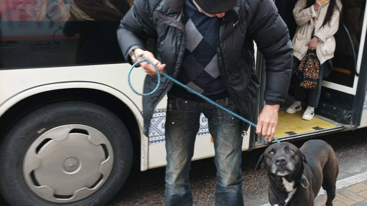 Історія з дуже щасливим хвостом