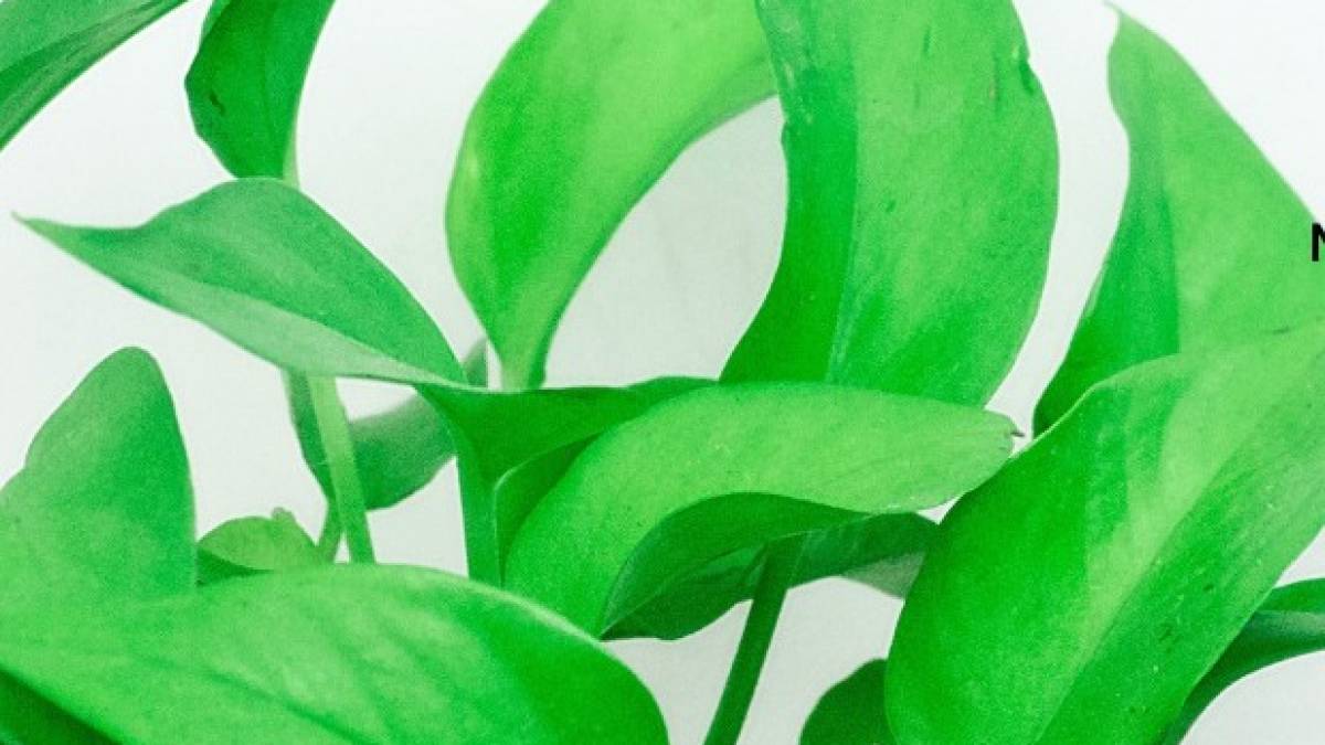 На запорізьких молодих підприємців чекають експерти та інвестиції