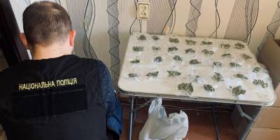 У Запоріжжі поліцейські викрили групу наркодилерів та вилучили в них канабіс на 380 тисяч гривень