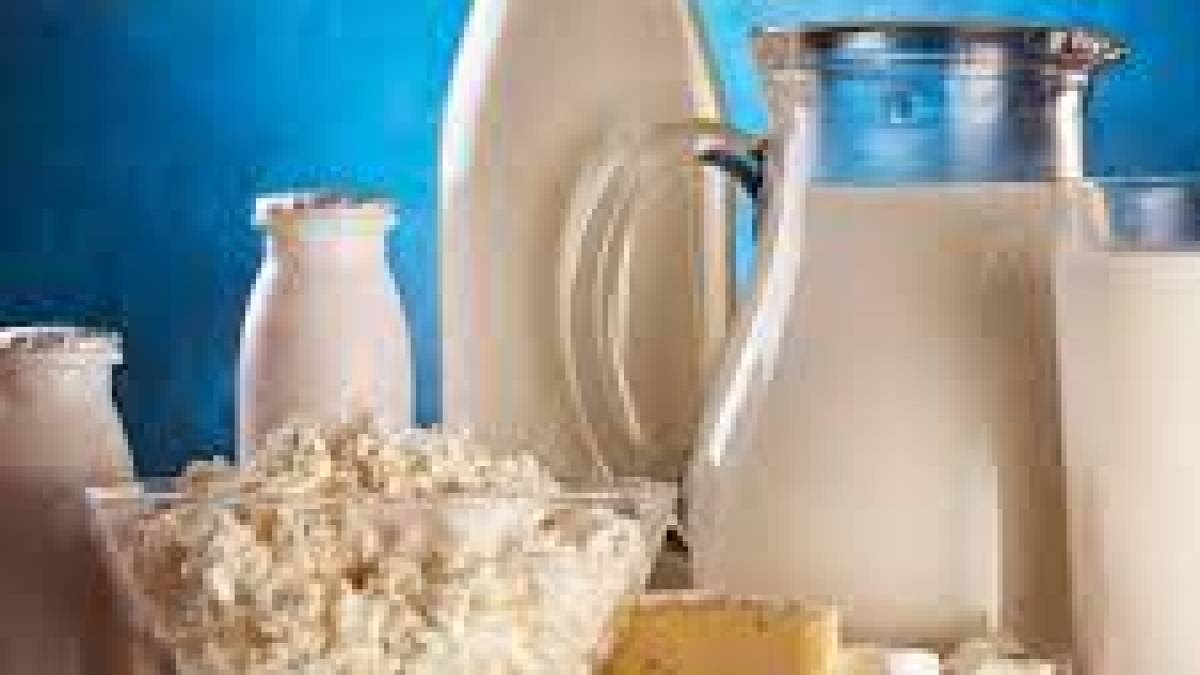 Транзит агропродукції з України: п’ять країн ЄС пропонують розширити список