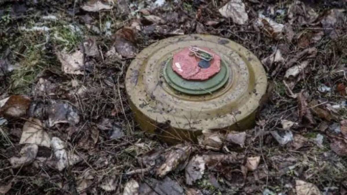 Під Мелітополем окупанти масово мінують поля та дороги