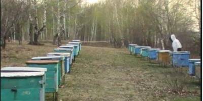 Народне свято 28 квітня: традиції, прикмети і поради дня