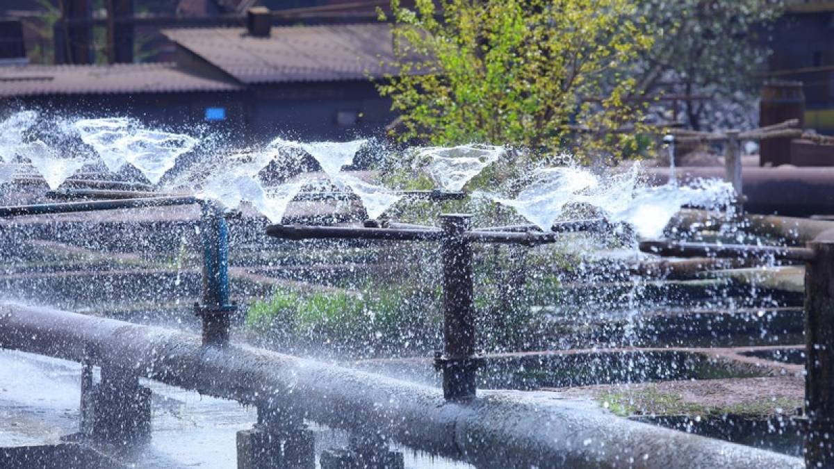 Летяча вода комбінату «Запоріжсталь»: журчить та зачаровує 💦 (фото)