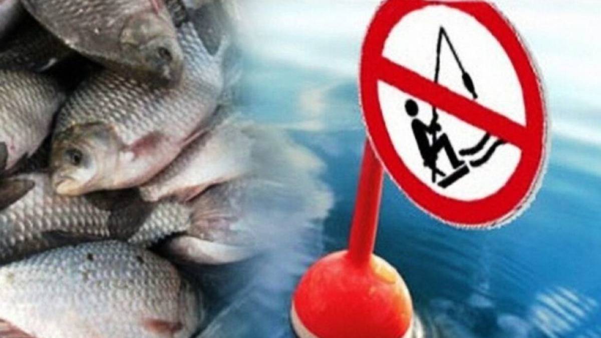 Мешканцям Запоріжжя розповіли, коли можна буде ловити рибу без штрафів