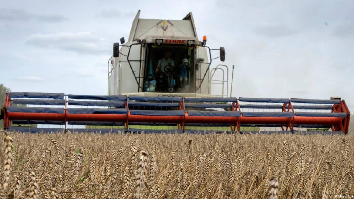 У ФРН вітають угоду щодо експорту агропродукції з України