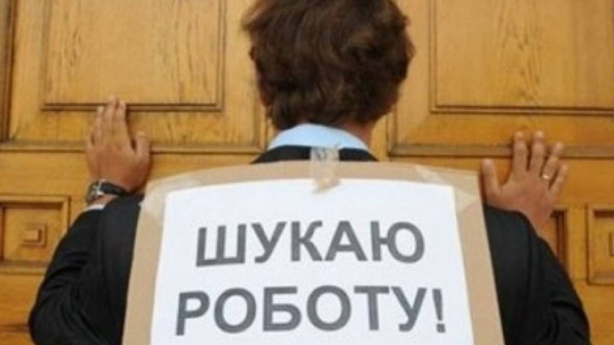 Як війна змінила ринок праці на Запоріжжі: тенденції та перспективи