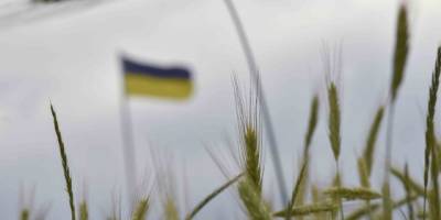 Офіційно. Єврокомісія на місяць заборонила експорт зерна з України до п’яти країн