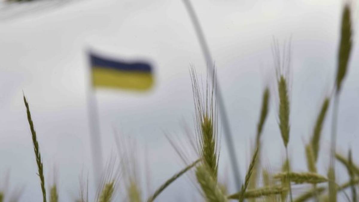 Официально. Еврокомиссия на месяц запретила экспорт зерна из Украины в пять стран