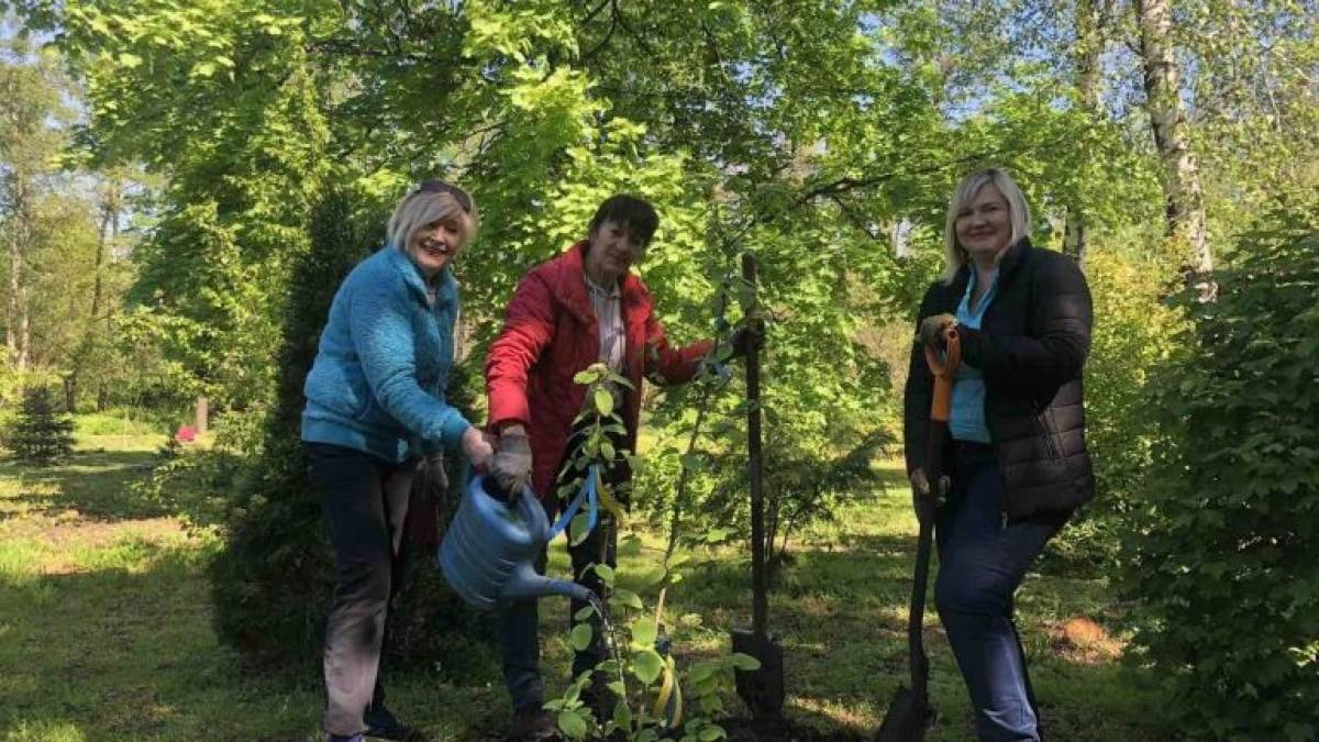 У Запорізькому ботанічному саду – генеральне прибирання