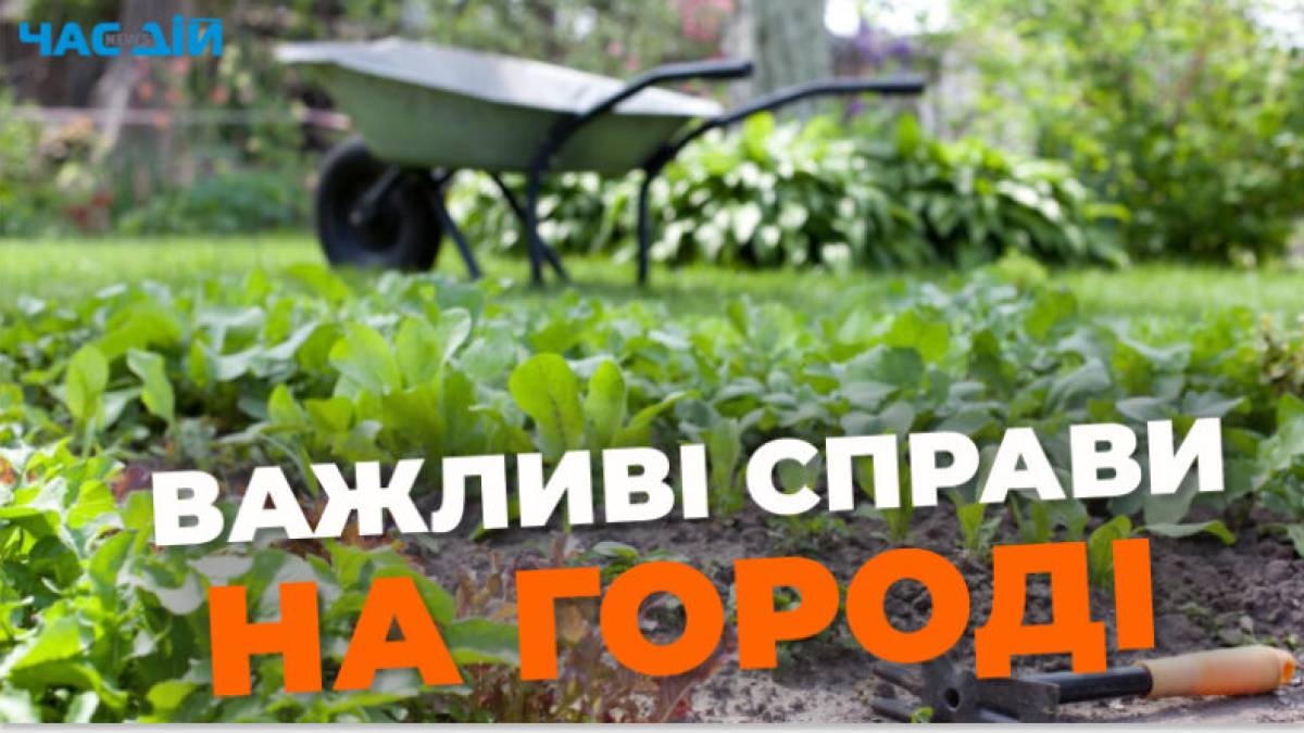 Народне свято 3 травня: звичаї, прикмети, заборони дня