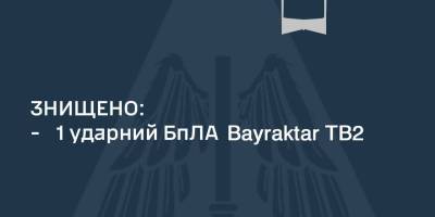 Над Киевом сбили «Байрактар», над которым потеряли управление, —  Воздушные силы ВСУ