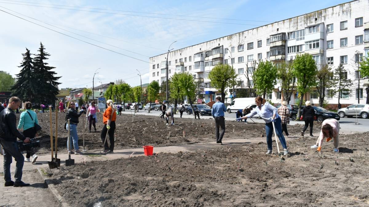 На Житомирщині висадили Алею пам’яті нескорених міст