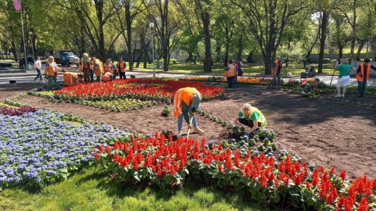 У Запоріжжі на Алеї Бойової Слави висадили квіти