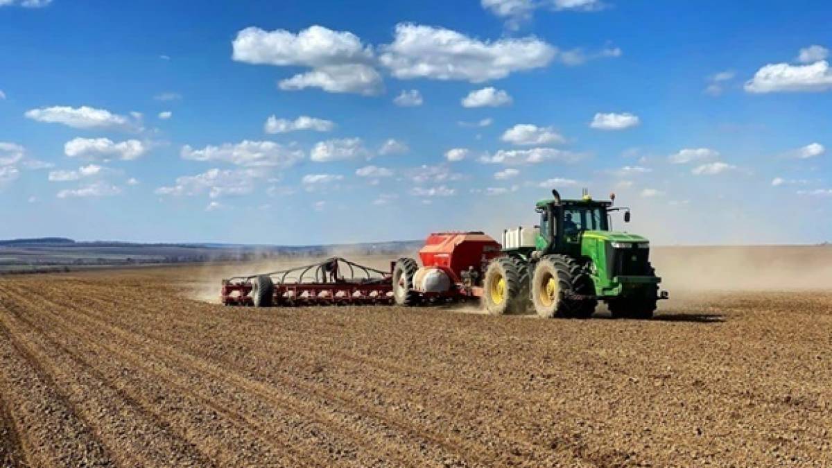 В Україні вже посіяли 2,3 мільйона гектарів зернових