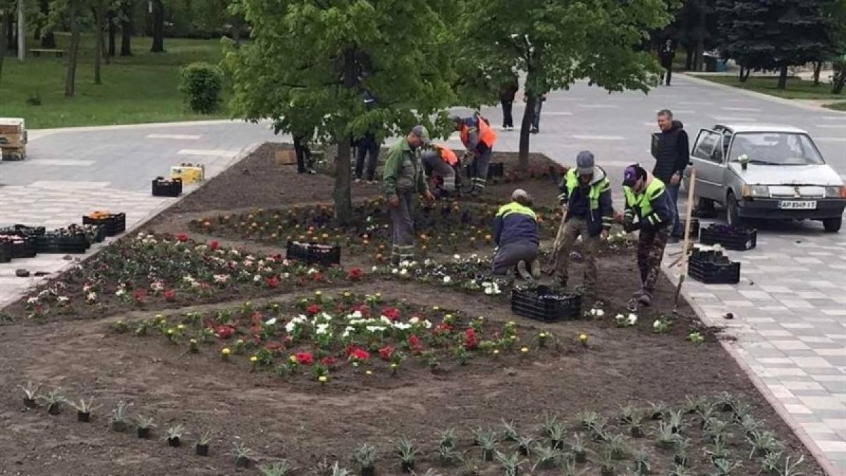 У запорізьких парках з’явились нові квіткові клумби