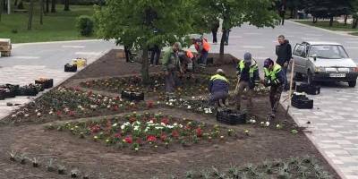 У запорізьких парках з’явились нові квіткові клумби