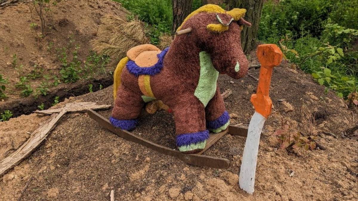 На позиціях захисників Запоріжжя вірно несе службу бойовий кінь