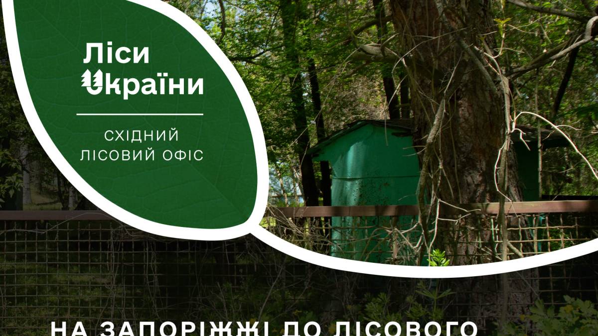 На Запоріжжі державі повернули лісову ділянку, що була у приватній власності: подробиці