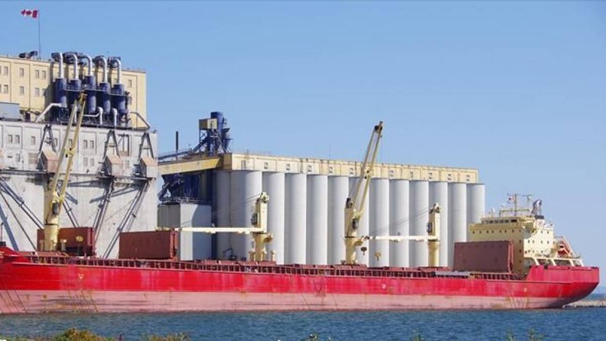 Украину оставило последнее судно в рамках «зерновой инициативы» – данные СКЦ