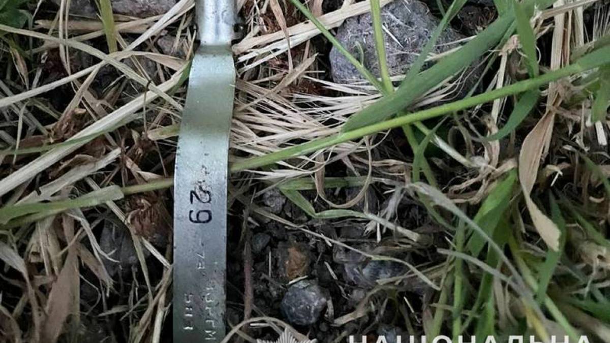 Запорізькі поліцейські затримали двох хуліганів, які підірвали на території міста гранату